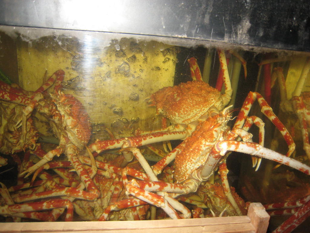 富津 阿吉雅旅馆酒店 外观 照片